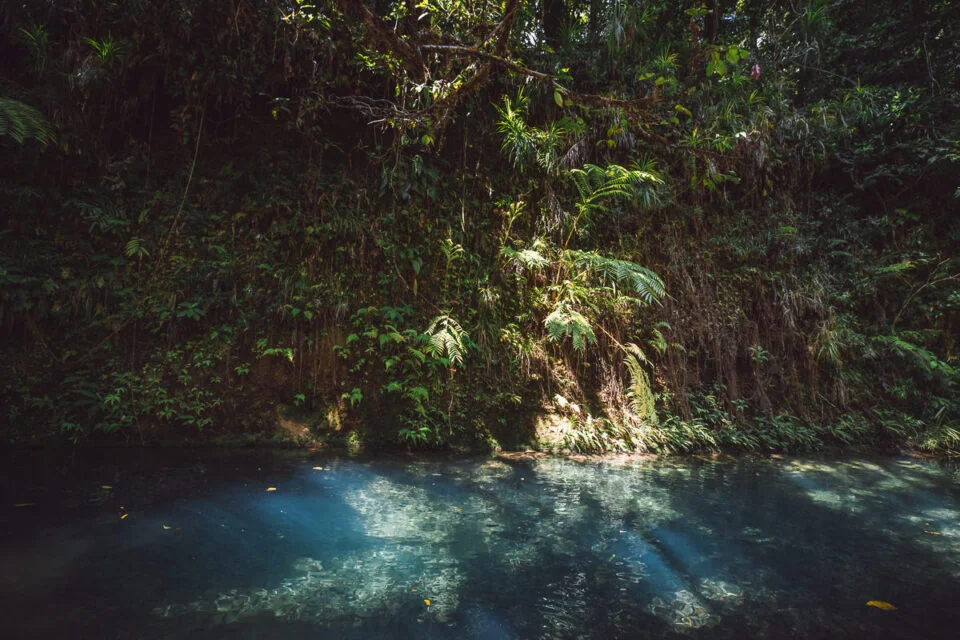 Alexandra Falls and Daintree canopy